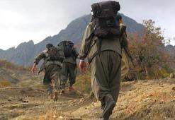 Terör örgütü PKK ateşkes ilan etti: Öcalan'ın çağrısına uyuyoruz