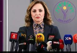 Bahçeli-Demirtaş görüşmesiyle ilgili DEM Parti'den açıklama geldi