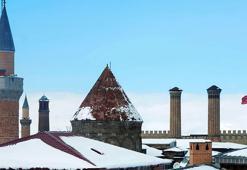 Peynirler, halılar, kilimler ve dokumalar... Erzurum'da coğrafi işaret için 11 yeni başvuru