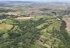 Araziye yatırım yapacaklar Dikkat! 'dinamik kazanç sağlayacak'