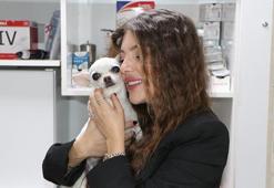 Adana'da köpeğinin horlamasından uyuyamayan vatandaş ameliyat ettirdi