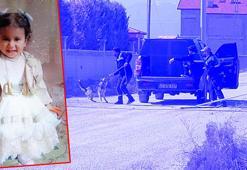 Konya'da 10 sokak köpeğinin saldırısı sonucu hayatını kaybeden Rana'nın otopsi raporu çıktı