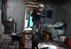 9 yıldır aynı noktada duruyor! Faraşin Yaylası'nda garip bir hayat