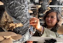 Özel sektörden istifa edip köye yerleştiler: Antalya'da mantar üretimi yapıyorlar