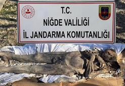 Niğde'de mumya operasyonu! Orta Çağ'dan kalma mumyayı satmaya çalışan şahıslar yakalandı!