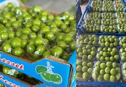 Mersin'den Dubai ve Katar'a ihraç ediliyor! Kilosu 2 bin lirayı aşıyor