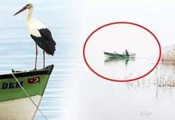 Yaren leylek için endişeli bekleyiş devam ediyor! Gözler 'Adem Amca'nın kayığında