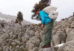 Çiriş otu sezonu açıldı: Her derde deva şifa sofralara geliyor