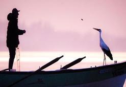 Geldiğini duyanlar köye koştu! Eskikaraağaç köyünde Yaren leylek yoğunluğu yaşanıyor