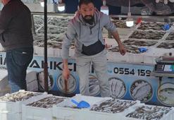 Zonguldak'ta 10 ton balık tutan balıkçı kilosunu 50 liradan sattı