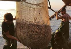 İzmir'de av yasağı başlamadan tekneler limana demir attı! İklim değişikliği ve müsilaj  balıkçılığı vurdu