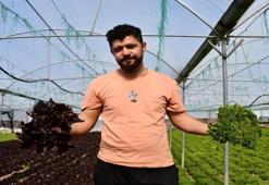 Bilecik'te genç çiftçinin ürettiği 10 çeşit marul Akdeniz salatasına dönüşüyor
