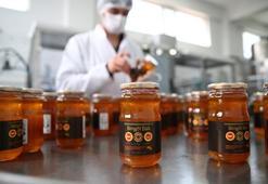 AB'den coğrafi işaret alan Bingöl Balı'nın ilk dolumu gerçekleştirildi