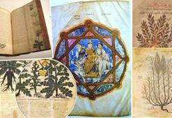 Dünya'da tıp tarihinin başladığı yer Adana'da! 4 bin yıl öncesinin Vatikan'ı: Hastalar işte burada şifa buldu