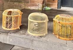 Yasadışı avlanan şahsa ceza yağdı