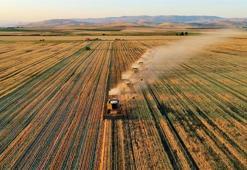Türkiye gıda güvenliğinde Avrupa'nın lideri