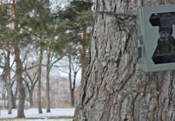 Ormanlara kurulan fotokapanlarla kaçak avcılığa geçit verilmiyor