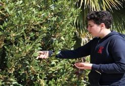 Okul bahçesinde keşfetti! 13 yaşındaki Emre tohumundan üretti: Katılım hakkı kazandı