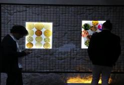 Adanalı öğretim görevlisinden ilginç buluş! Kullanılmış çaydan elde etti, sergisini açtı