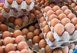 TÜİK açıkladı: Yumurta üretiminde çarpıcı düşüş