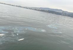 İzmir Körfezi'ni kirleten firmaya 8.3 milyon TL ceza