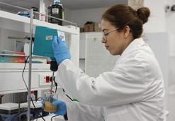 Nar kabuğu atıkları, hayvansal deriye alternatif oluyor! Su kullanılmadan üretiliyor