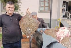 Kaçak olarak avlandı, ihtiyaç sahiplerine ücretsiz dağıtıldı