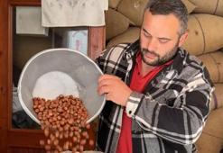 Giresun'da fındık fiyatları Cumhuriyet tarihinin en yüksek seviyesine ulaştı