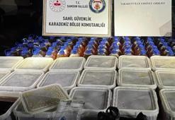 Balıkçı teknesinde 1,2 ton kaçak bal ele geçirildi