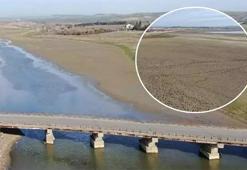 Kuraklık fırtınası! 'En riskli bölge İstanbul'