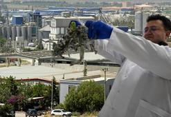 Adana'da Organize Sanayi Bölgesi'nin atıklarında büyük keşif!