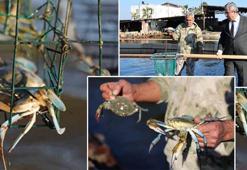 İç piyasada tüketilmiyor! Yurt dışından talep yağıyor, dünyanın dört bir yanına satılıyor