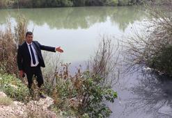 Ceyhan Nehri yok oluyor! Mahallelerden akan kirli su, dere ve nehirlerin rengini değiştirdi