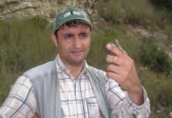 Kırşehir'de keşfedilen yeni bir böcek türüne eşinin ismini verdi! 'Linç edileceğimi bilerek bu kararı verdim'