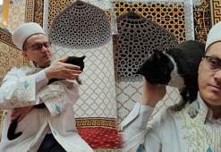 İmamın sadık dostu Lola: 5 vakit camiye geliyor, cemaatin gözdesi oldu