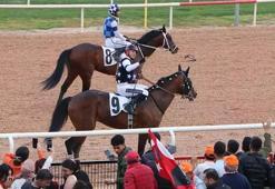 Adana’da Akdeniz Derbisi! Kazanan ‘Dapper Man’ oldu