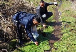Bitlislilerin vazgeçilmezi! Asırlardır tüketiliyor: Godumluk