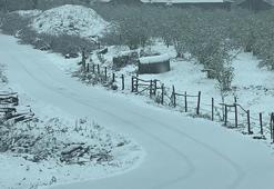 Sakarya'da yüksek kesimler beyaza büründü, Valilikten 'don' uyarısı geldi