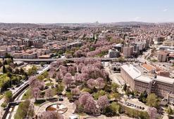 Gaziantep Avrupa sahnesinde! Almanya, Portekiz ve Polonya'yı geride bıraktı, en prestijli ödülün sahibi oldu