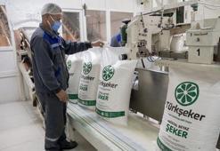 Türkşeker 1685 işçi alımı yapacak! Bakan Yumaklı paylaştı