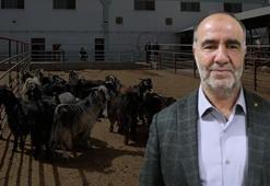 Devlet destek verdi, üretim iki katına çıktı! Hepsini marketlere satacak