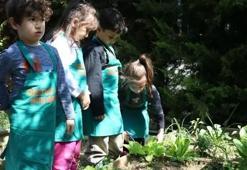 Anaokulu öğrencileri kendi yemeklerini kendi hazırlıyor