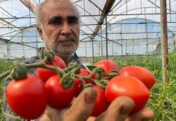 Üreticiden fiyat farkına tepki: Bizden 15 TL'ye alınıyor marketlerde 70 TL'ye satıyorlar