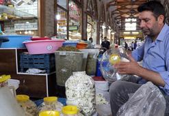 Kahvaltının başkentine Avrupa'dan tescil yağdı! 'Gurme ve gastronomi fuarı bu yıl da yoğun talep görecek'