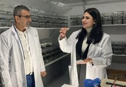 İnternetten video izlerken yeni işini buldu! Genç girişimci kimsenin cesaret edemediğini yaptı, paraya para demiyor