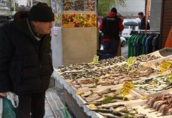 Trabzon'da av yasağı öncesi tezgahlarda balık bolluğu