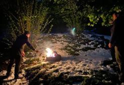 Karadeniz'de fındığı don vurdu, büyük kayıp kapıda!  Verim kaybına karşı önlemler arttı