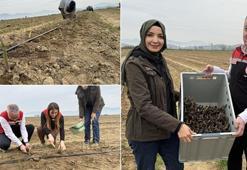 Amerika'da yaşarken fark etti, Tire'de üretime başladı! Satış hedefini büyüttü