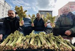 Bu sene az yetişti, destesi 100 liradan satılıyor! Vatandaşın geçim kapısı oldu, faydası saymakla bitmez