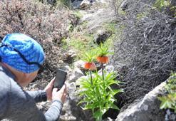 2900 rakımda ters laleleri görebilmek için tırmandılar! Binlerce kilometre yoldan gelen var